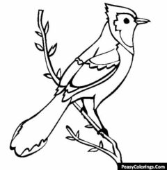 Blue jay on tree branch coloring pages