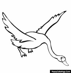 swans coloring pages