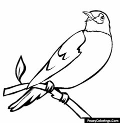 robin on the tree branch coloring page