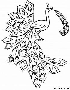 peacock coloring pages