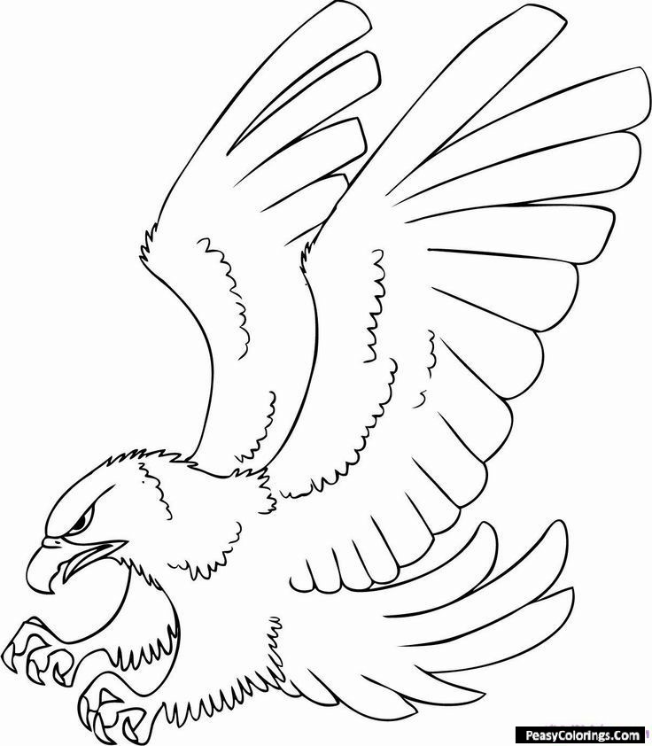 hawk coloring pages