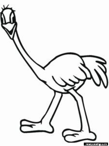Ostrich coloring pages