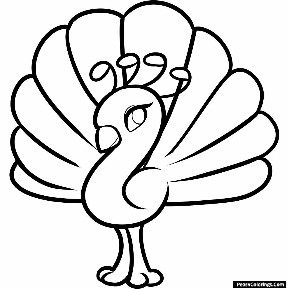 cartoonprintable peacock coloring pages