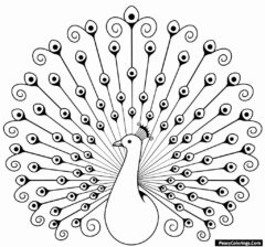 dancing peacock coloring page