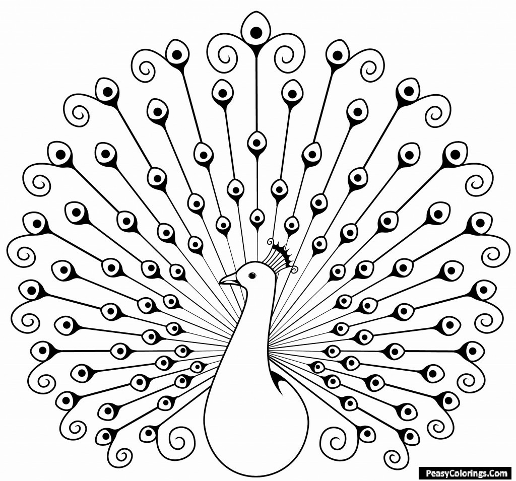 dancing peacock coloring page