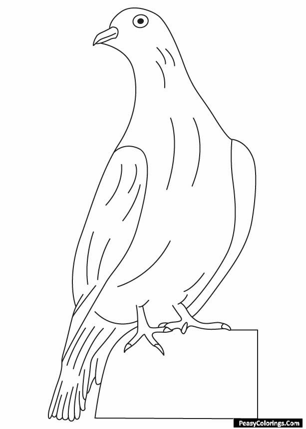 dove sitting on a block coloring pages