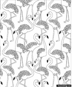 Flamingo herd coloring pages