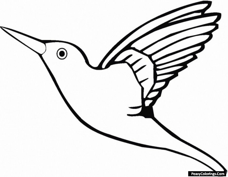 humming bird coloring pages