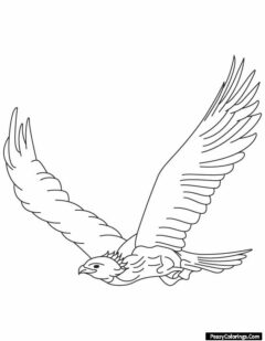 flying eagle coloring page