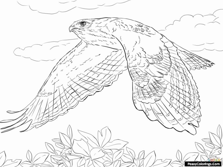 Flying Hawk Coloring Pages - Easy Peasy Colorings