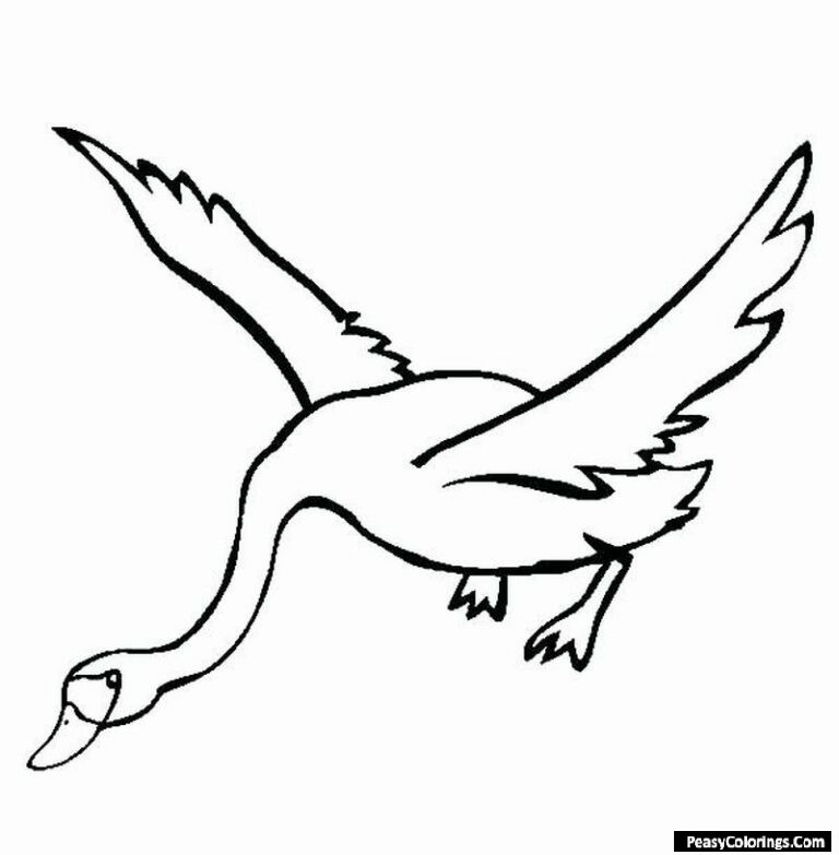 swans coloring pages