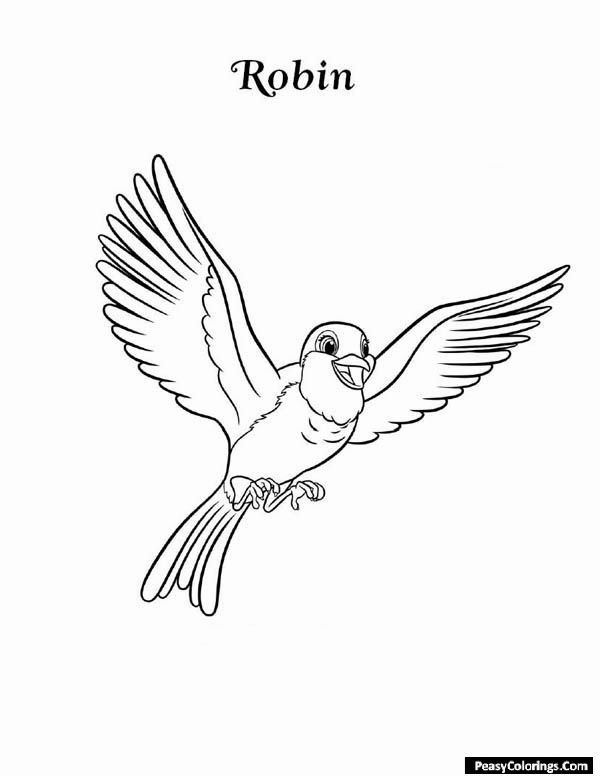 robin coloring pages