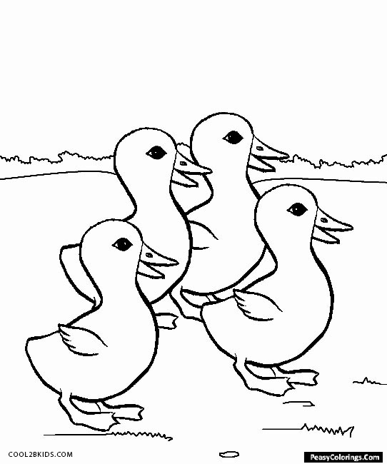 Four Ducklings Coloring Pages Easy Peasy Colorings