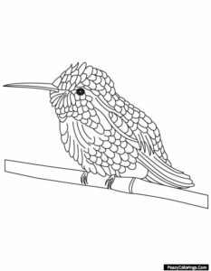 Little Humming Bird Coloring Pages - Easy Peasy Colorings