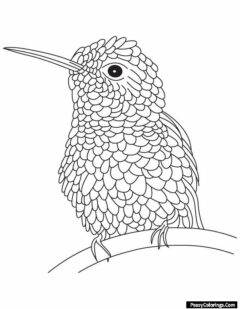 Mandala humming bird
