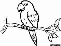 parrot sitting on a branch
