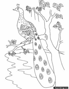 realistic peacock sitting on tree