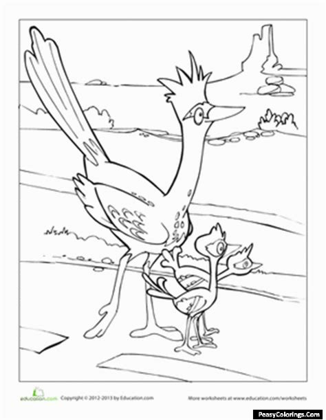 roadrunner coloring page