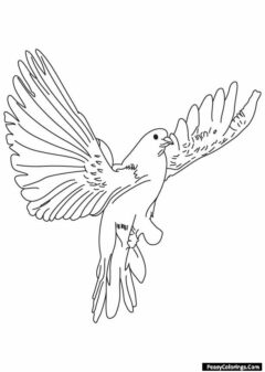 segmented dove coloring pages