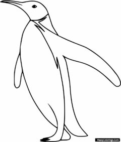 simple penguin coloring page