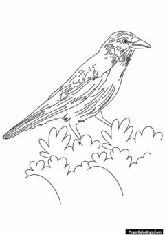 crow coloring page