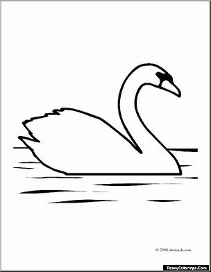 swans in the water coloring pages