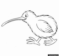 kiwi coloring page