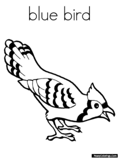 blue bird coloring pages