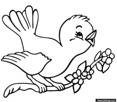 bluebird coloring pages