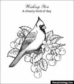 cardinal near cherry branch coloring sheet