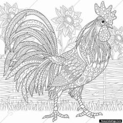 chicken in a garden coloring page