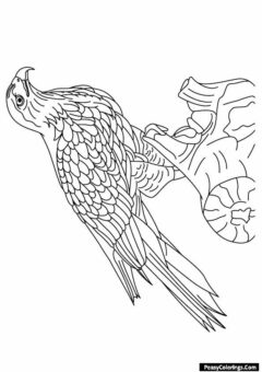 hawk coloring page