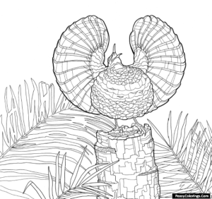 Howling Birds of Paradise Coloring Pages - Easy Peasy Colorings