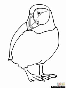 Fat Puffin Coloring Page - Easy Peasy Colorings