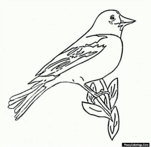 Oriole On A Leafy Branch Coloring Page - Easy Peasy Colorings