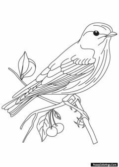 sparrow coloring page