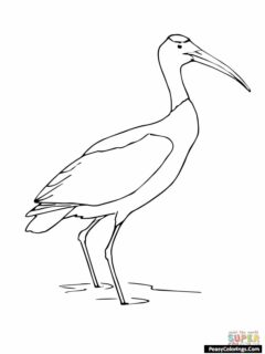 stork coloring page