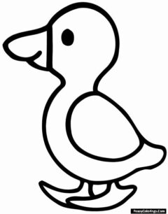 puffin coloring page