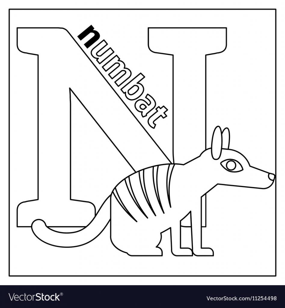 N is for Numbat coloring page